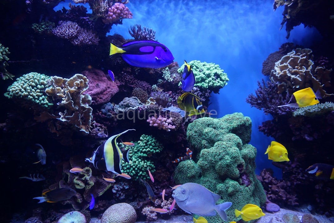 Hydroponic background