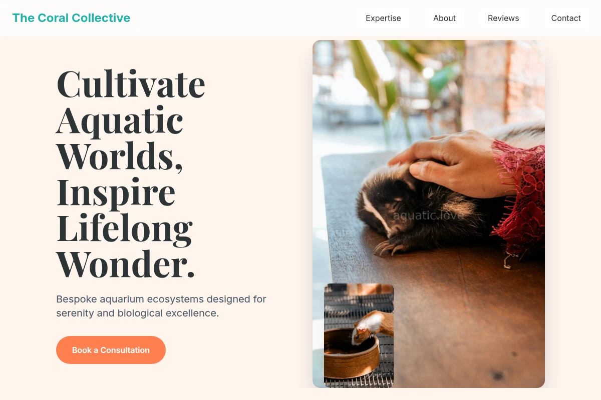 Zen Animal Care
