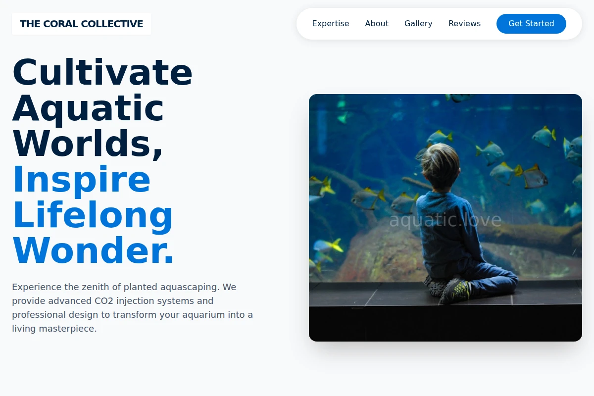 CO2 Aquarium