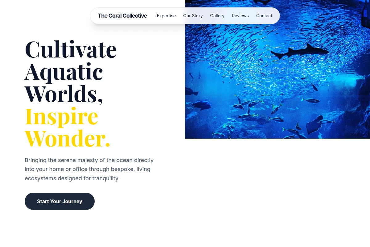 Clarity Aquarium