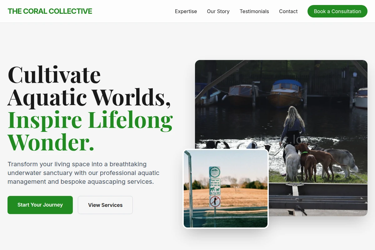 Serene Pet Services