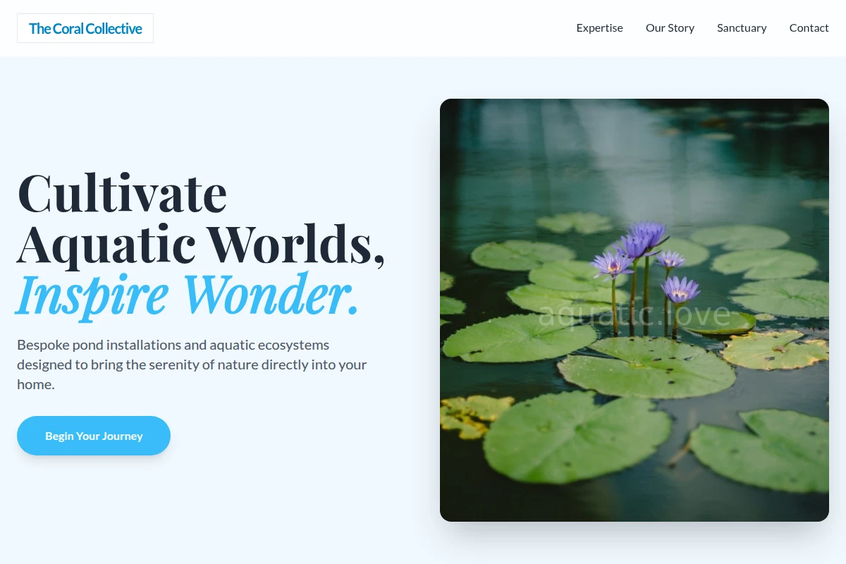 Anemone Pond