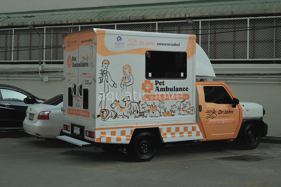 Reel 1