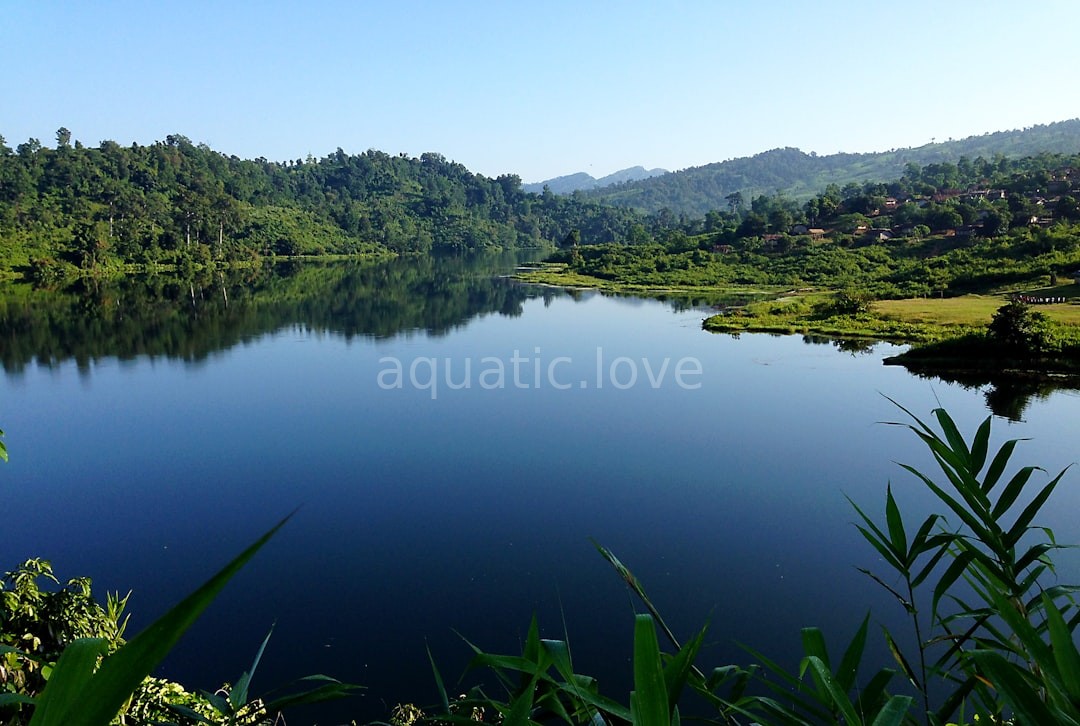 Pond Design